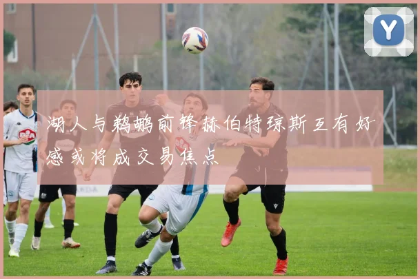 湖人与鹈鹕前锋赫伯特琼斯互有好感或将成交易焦点