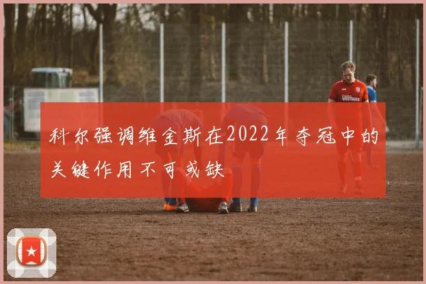 科尔强调维金斯在2022年夺冠中的关键作用不可或缺